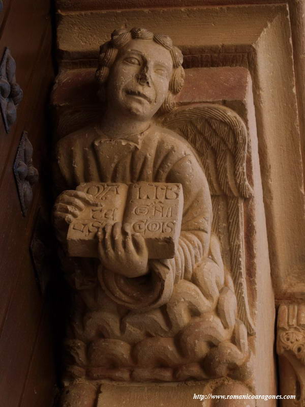 TETRAMORFOS DE MATEO